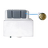 Concealed Cistern & Brushed Brass Button (Bottom Inlet)