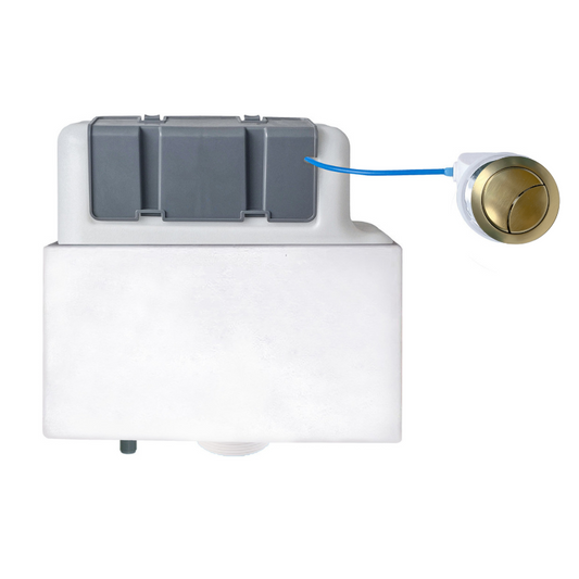 Concealed Cistern & Brushed Brass Button (Bottom Inlet)