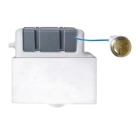 Concealed Cistern & Brushed Brass Button (Side Inlet)