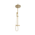 core brushed brass round rigid riser shower, Scudo, Mixer Showers, Showers, 5