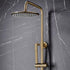 core brushed brass round rigid riser shower, Scudo, Mixer Showers, Showers, 2