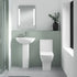 Nuie Ava 545mm Basin & Pedestal