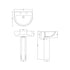 Ivo 550mm 2TH Basin & Pedestal