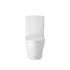 Luna Flush to Wall Toilet, Cistern & Seat