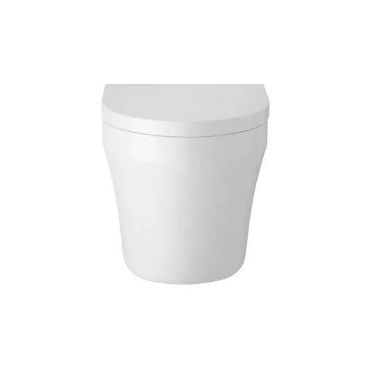 Luna Back to Wall Toilet & Seat