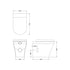 Luna Back to Wall Toilet & Seat