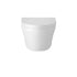 Luna Wall Hung  Toilet & Seat