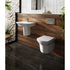 Maya Wall Hung Toilet & Seat