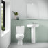 Melbourne 550mm 1TH Basin & Pedestal