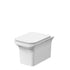Ava Square Back To Wall Toilet & Soft Close Seat