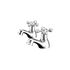 piero chrome basin pillar taps, Alessio, Chrome Basin Taps, Taps, 2