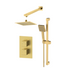 square two outlet shower valve with riser overhead kit brushed brass, Alessio, Mixer Showers, Showers, 2