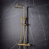 core brushed brass round rigid riser shower, Scudo, Mixer Showers, Showers, 1