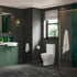 Elenna Rimless Close Coupled Fully Shrouded WC & Soft Close Seat