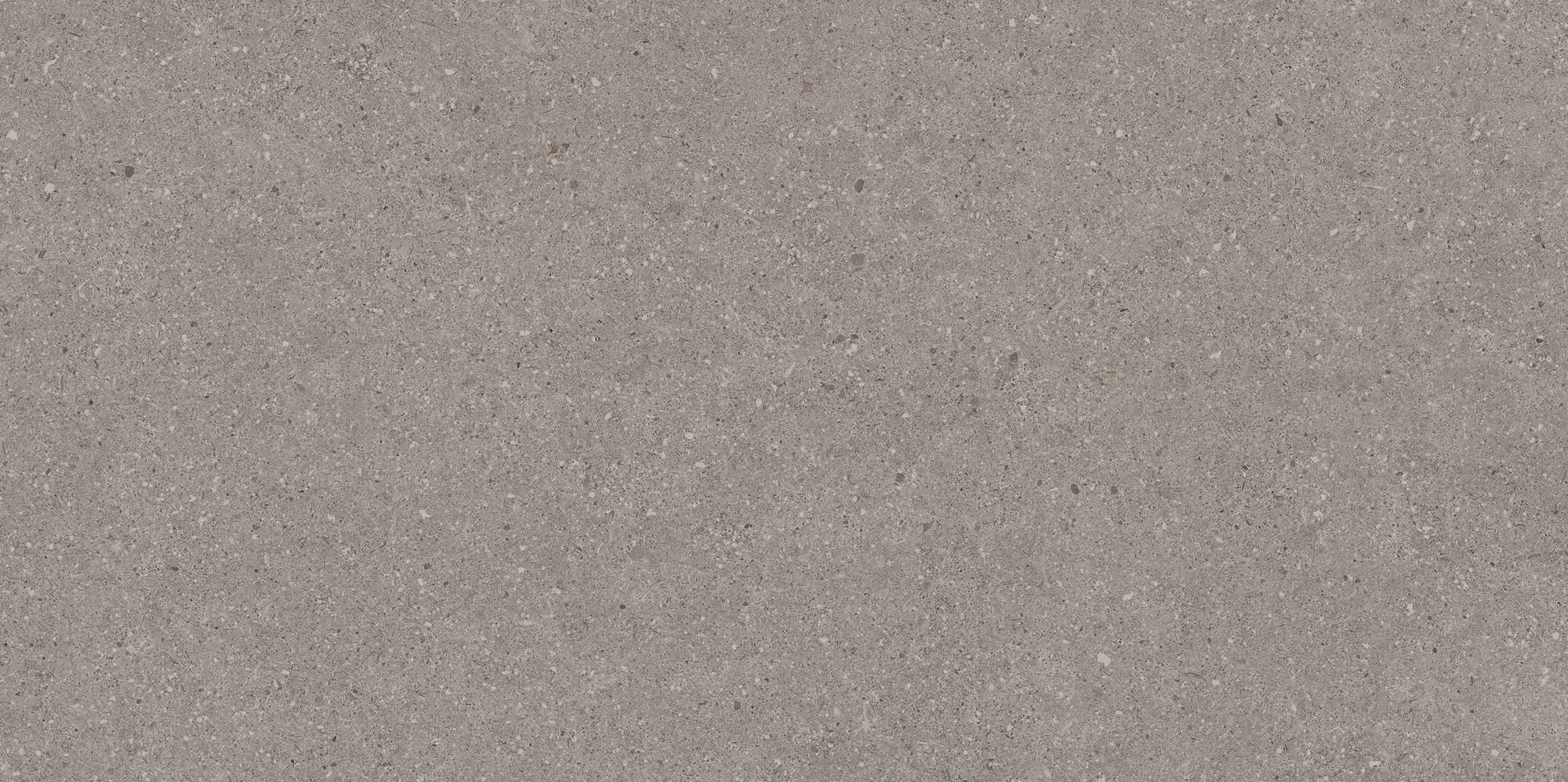 Balance Tiles Grey Matte 300x600mm