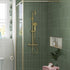 cool touch thermostatic bar mixer shower riser brushed brass, Alessio, Mixer Showers, Showers, 1