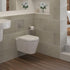 esta rimless wall hung wc soft close toilet seat, Alessio, Wall Hung Toilet, 1