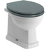 Florence Back To Wall WC & Lucia Sea Green Wood Effect Toilet Seat - bathandtile
