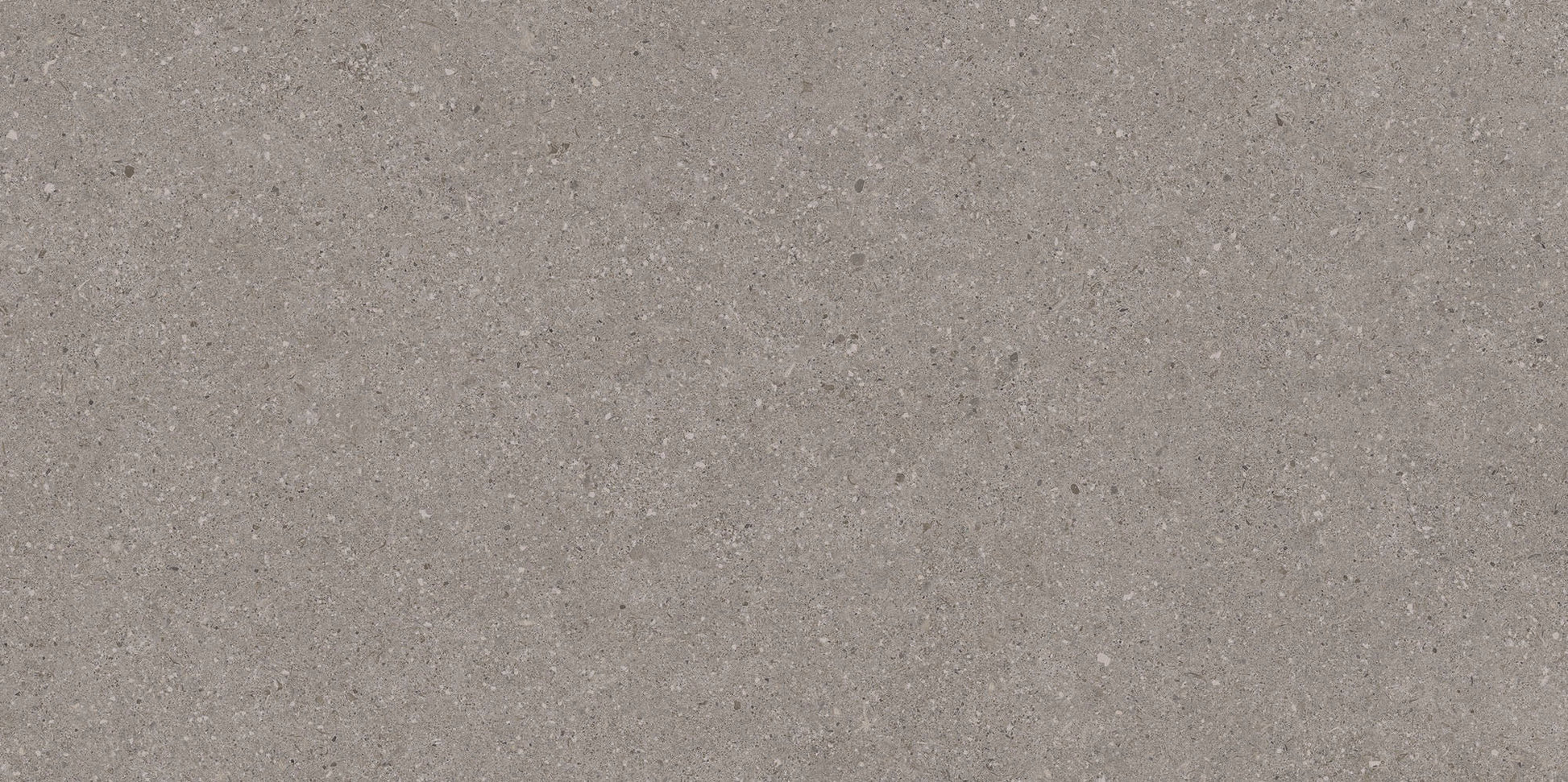 Balance Tiles Grey Matte 300x600mm, ceramic tiles, wall tiles, grey tiles.