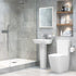 Luca Rimless Close Coupled Short Projection Open Back WC & Soft Close Seat - bathandtile