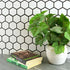 pixel white hexagon gloss 300x300 price per sheet tiles, Floor Tiles, Mosaic  Tiles, Porcelain Tiles, Wall Tiles, White Tiles, 1